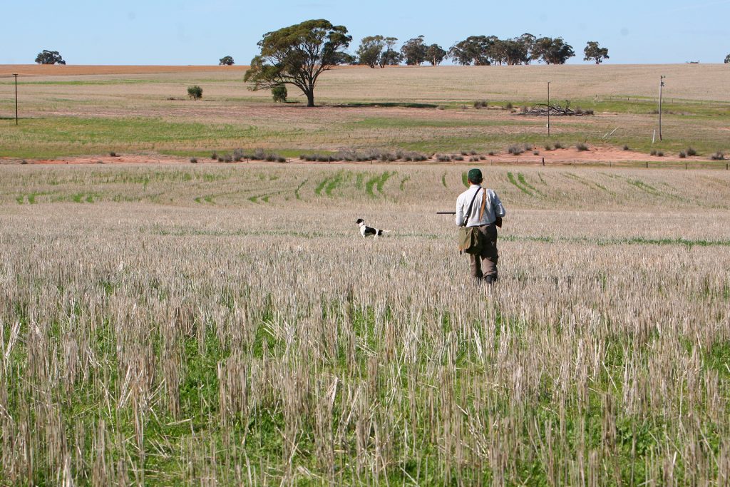 WA Trial 067