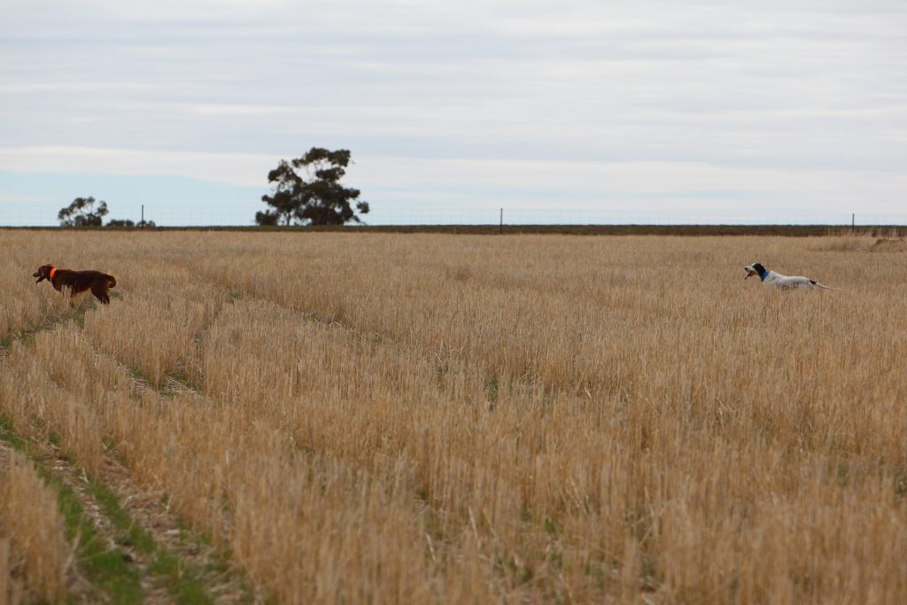 WA Trials 6.6.10 115