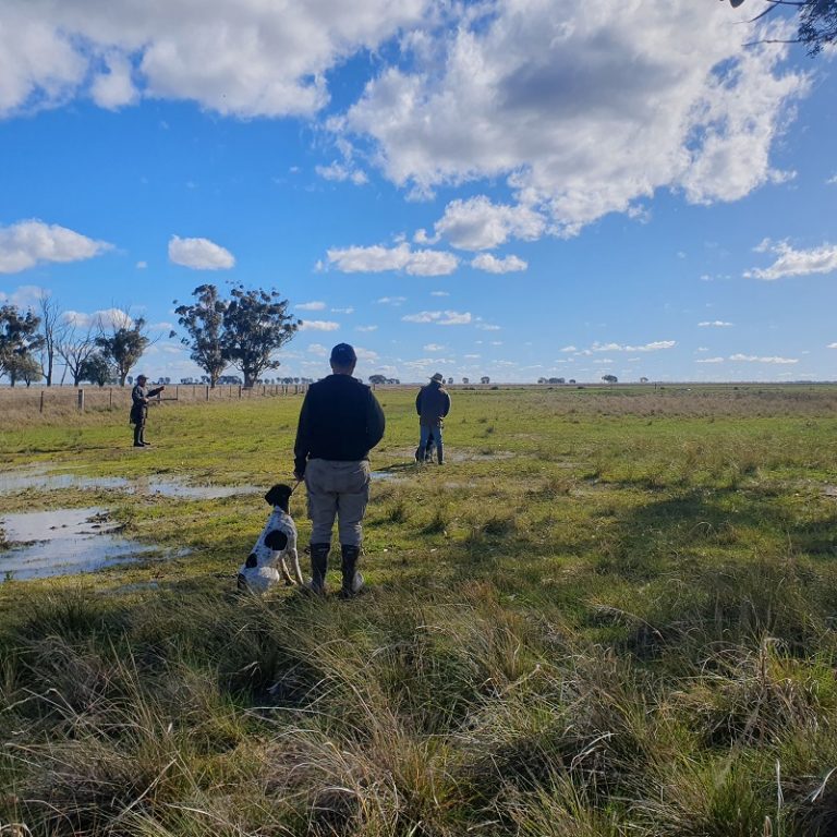 picture of training for retrival